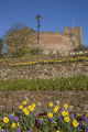 Tamworth Castle and flower beds.